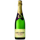 Cava Juve Camps Reserva Brut 75 Cl
