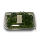 Pimiento Padrón 250gr