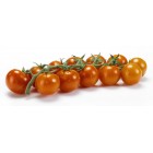 Tomate Cherry Rama 410gr