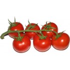Tomate Rama 790gr