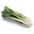 Ajo Tierno 1000gr