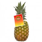 Piña Del Monte Calibre8 1500gr