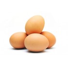 M Dagu 12 Huevos