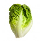 Cogollos De Lechuga 1000gr
