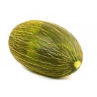 Melón Piel Sapo 3500gr