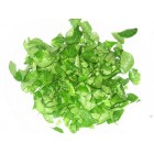 Canónigos Baby Fresh 70gr