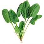 Espinacas Baby Fresh  300gr